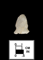 Thumbnail image of a Brewerton Eared Notched point from 18BA156-2 Evergreen Collection - click on image to see a larger view.